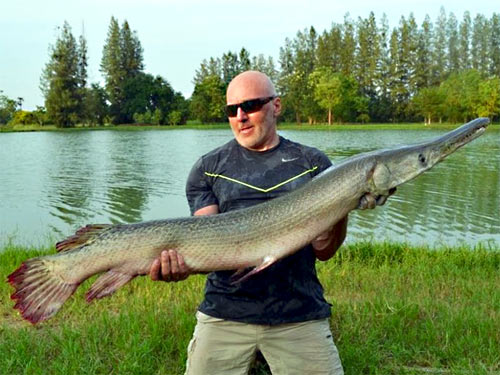 Alligator Gar on livebait at IT Lake Monsters