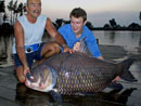 A 49 kilo Giant Siamese Carp!
