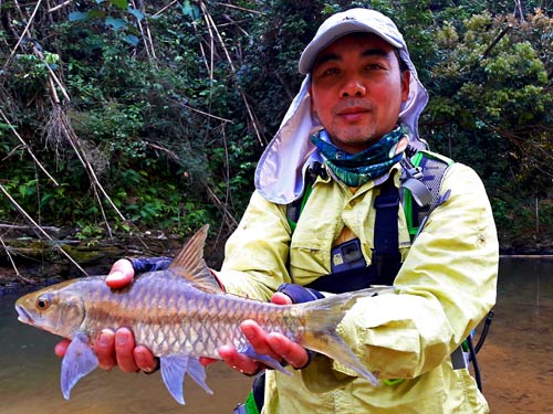 Phuket Mahseer fishing.