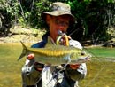 Mahseer Jungle Fly Fishing..
