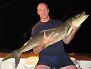 Cobia on a live-onboard trip.