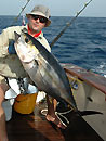 Similan Island Yellowfin Tuna.