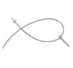Pitzen Knot Step 1