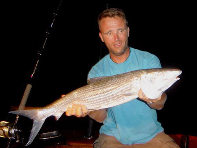 Bonefish fra Similan �erne - Thailand.